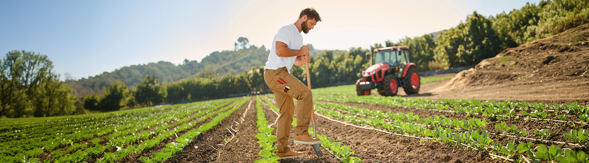 A man in a white shirt and khaki pants stands in a field of crops, inspecting plants. A red tractor is parked nearby, and green hills are visible in the background under a clear sky.