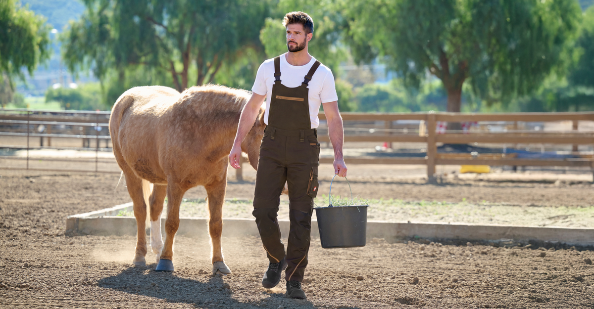 A man wearing brown work bibs, a white tshirt and black work boots. He is holding a bucket with grass inside in his hand walking on a horse paddock