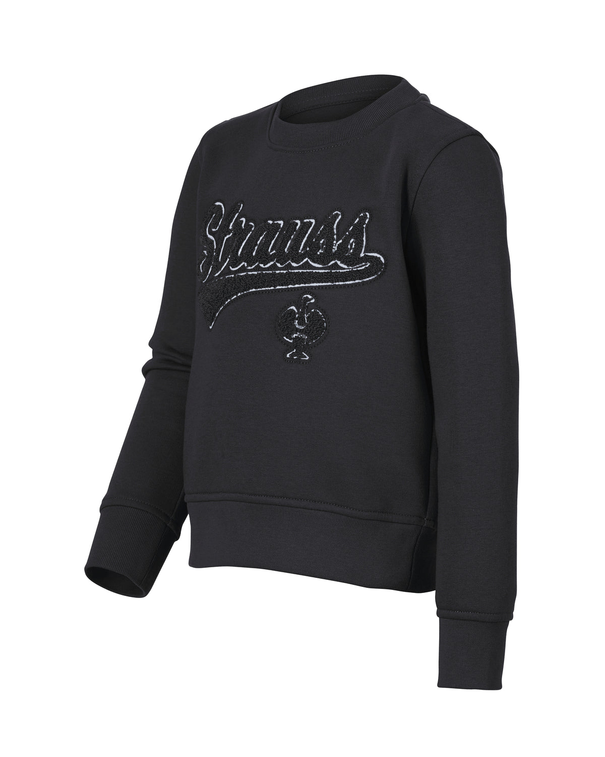 Kids' STRAUSS e.s.e:pic artwork crew neck sweatshirt in black, front view