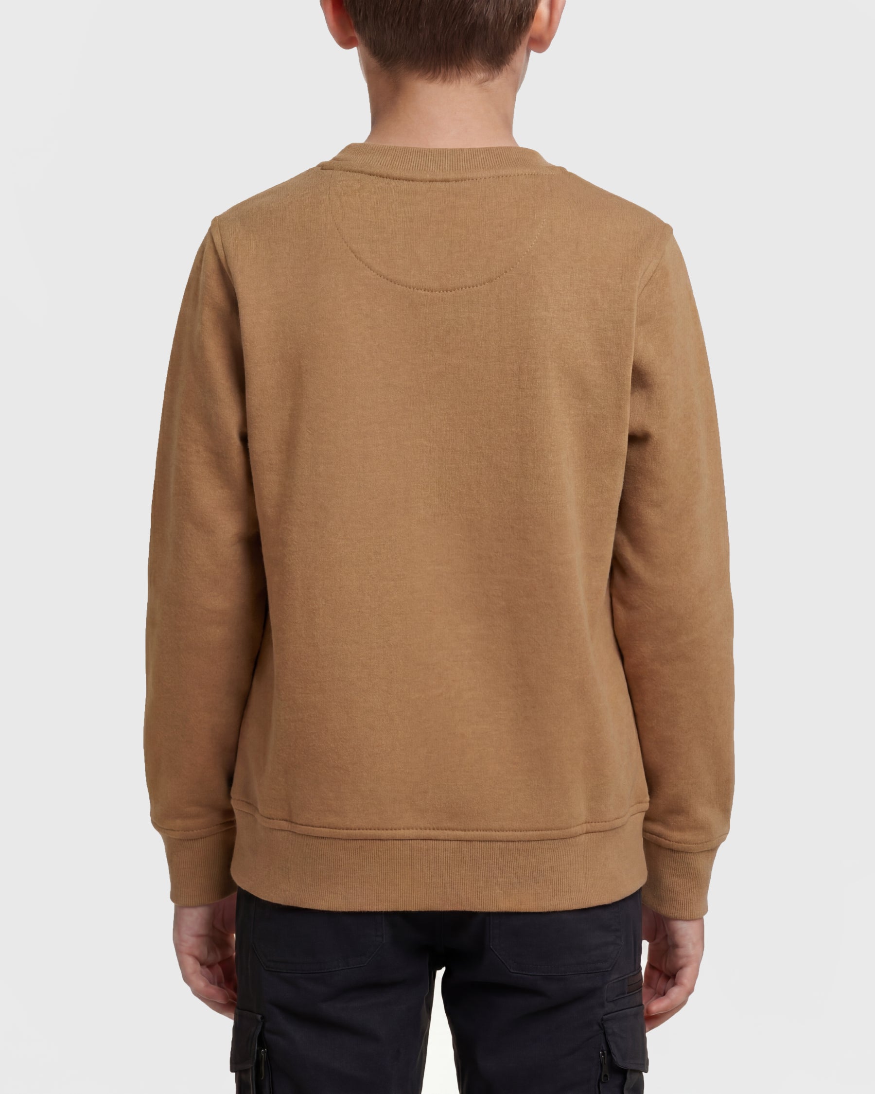 Kids' STRAUSS e.s.e:pic artwork crew neck sweatshirt in almond brown, worn by model, back view
