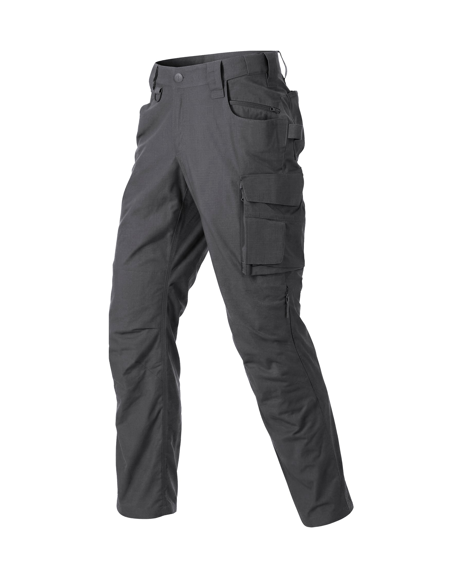 STRAUSS Ripstop Cargo Work Pants e.s.e:pic in carbon gray, front view