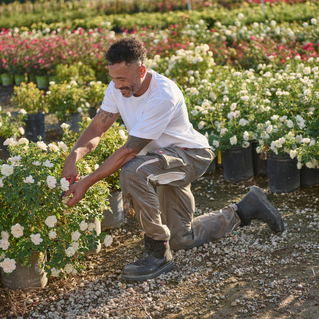 Man pruning plants