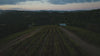 Video of Paso Robles Wine Country